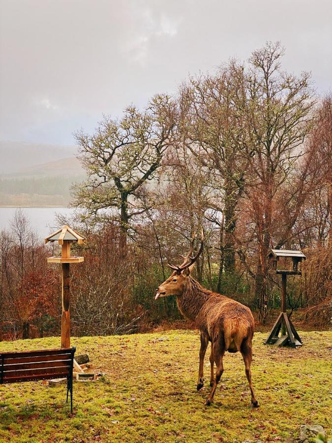 Tarmachan Cottage - West Highland Getaway Fort William Ngoại thất bức ảnh